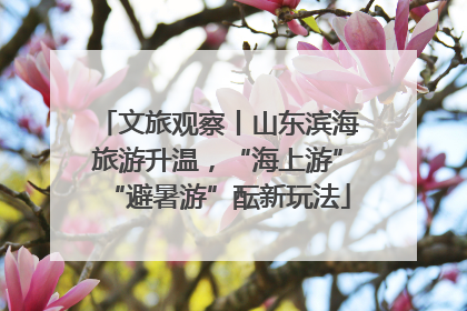 文旅观察丨山东滨海旅游升温，“海上游”“避暑游”酝新玩法