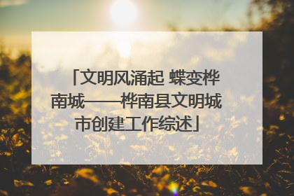 文明风涌起 蝶变桦南城——桦南县文明城市创建工作综述