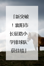 新突破！襄阳市长征路小学排球队获佳绩