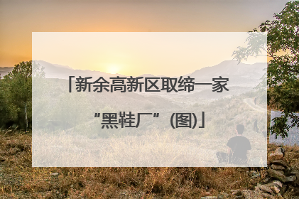 新余高新区取缔一家“黑鞋厂”(图)