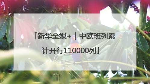 新华全媒+｜中欧班列累计开行110000列