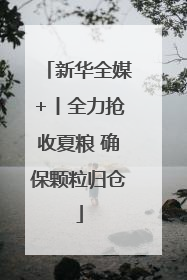 新华全媒+丨全力抢收夏粮 确保颗粒归仓