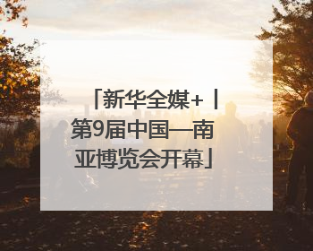 新华全媒+丨第9届中国—南亚博览会开幕