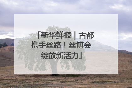 新华鲜报｜古都携手丝路！丝博会绽放新活力