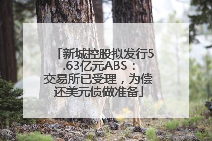 新城控股拟发行5.63亿元ABS：交易所已受理，为偿还美元债做准备