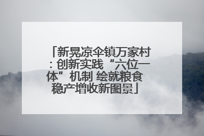 新晃凉伞镇万家村：创新实践“六位一体”机制 绘就粮食稳产增收新图景