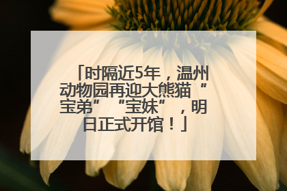 时隔近5年，温州动物园再迎大熊猫“宝弟”“宝妹”，明日正式开馆！