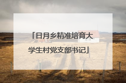 日月乡精准培育大学生村党支部书记