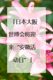 日本大阪世博会将迎来“安徽活动日”