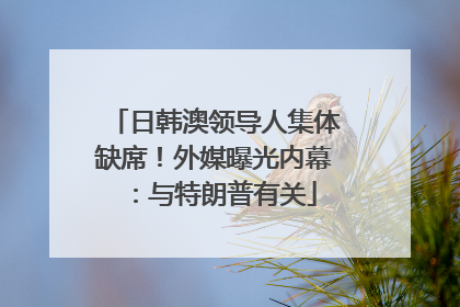日韩澳领导人集体缺席！外媒曝光内幕：与特朗普有关