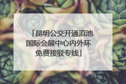 昆明公交开通滇池国际会展中心内外环免费接驳专线