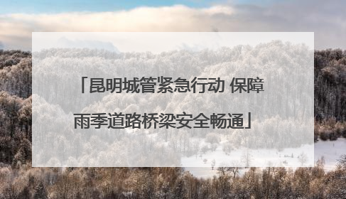 昆明城管紧急行动 保障雨季道路桥梁安全畅通