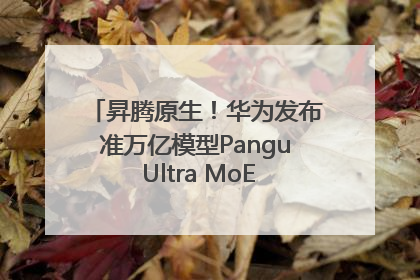 昇腾原生！华为发布准万亿模型Pangu Ultra MoE模型架构和训练细节