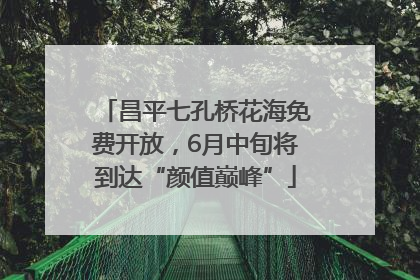 昌平七孔桥花海免费开放，6月中旬将到达“颜值巅峰”