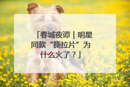 春城夜谭｜明星同款“撕拉片”为什么火了？