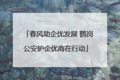 春风助企优发展 鹤岗公安护企优商在行动