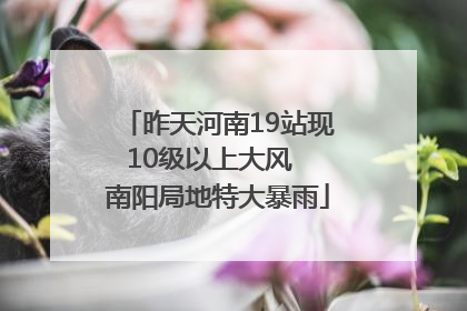 昨天河南19站现10级以上大风  南阳局地特大暴雨
