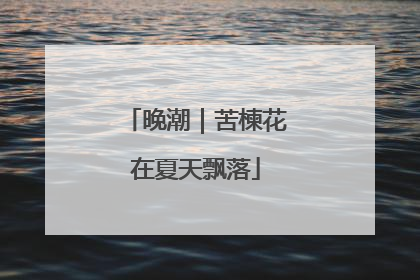 晚潮｜苦楝花在夏天飘落