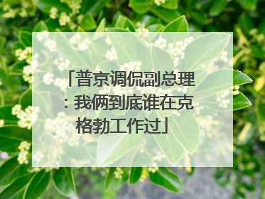 普京调侃副总理：我俩到底谁在克格勃工作过