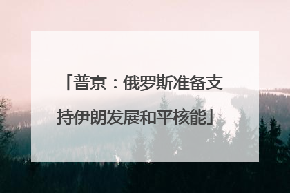 普京：俄罗斯准备支持伊朗发展和平核能
