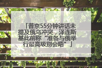 普京55分钟讲话未提及俄乌冲突，泽连斯基此前称“准备与俄举行最高级别会晤”