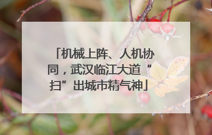 机械上阵、人机协同，武汉临江大道“扫”出城市精气神
