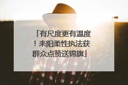 有尺度更有温度！耒阳柔性执法获群众点赞送锦旗