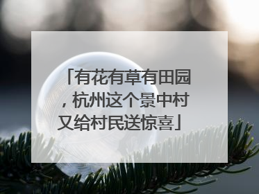 有花有草有田园，杭州这个景中村又给村民送惊喜