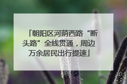 朝阳区河荫西路“断头路”全线贯通，周边万余居民出行提速