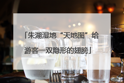 朱湖湿地“天地图”给游客一双隐形的翅膀