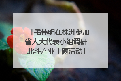 毛伟明在株洲参加省人大代表小组调研北斗产业主题活动
