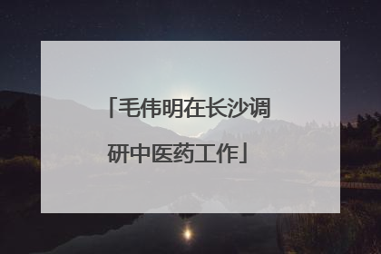 毛伟明在长沙调研中医药工作