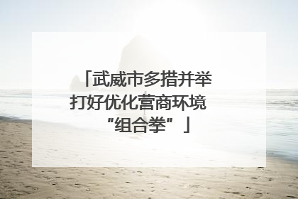 武威市多措并举打好优化营商环境“组合拳”