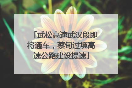 武松高速武汉段即将通车，蔡甸过境高速公路建设提速