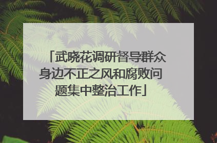 武晓花调研督导群众身边不正之风和腐败问题集中整治工作