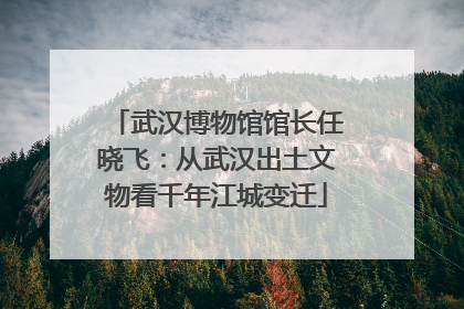 武汉博物馆馆长任晓飞：从武汉出土文物看千年江城变迁