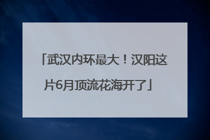 武汉内环最大！汉阳这片6月顶流花海开了