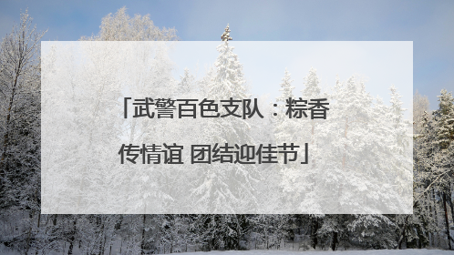 武警百色支队：粽香传情谊 团结迎佳节