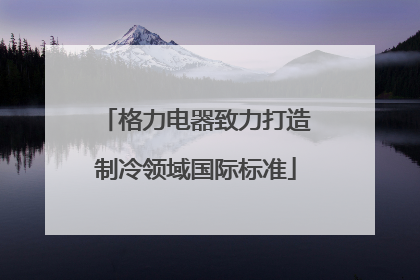 格力电器致力打造制冷领域国际标准