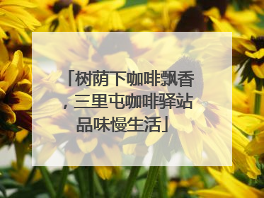 树荫下咖啡飘香，三里屯咖啡驿站品味慢生活