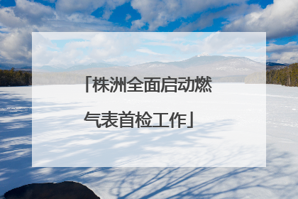 株洲全面启动燃气表首检工作