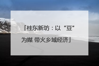 桂东新坊：以“豆”为媒 带火乡域经济