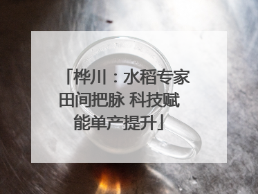 桦川：水稻专家田间把脉 科技赋能单产提升