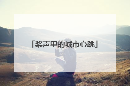 桨声里的城市心跳
