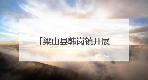 梁山县韩岗镇开展移风易俗宣传活动