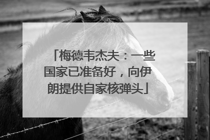 梅德韦杰夫：一些国家已准备好，向伊朗提供自家核弹头