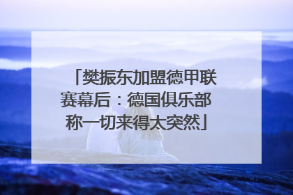 樊振东加盟德甲联赛幕后：德国俱乐部称一切来得太突然