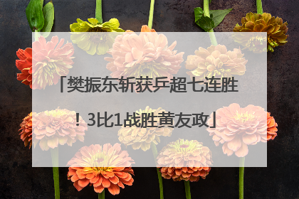 樊振东斩获乒超七连胜！3比1战胜黄友政