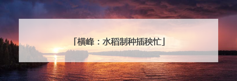 横峰：水稻制种插秧忙