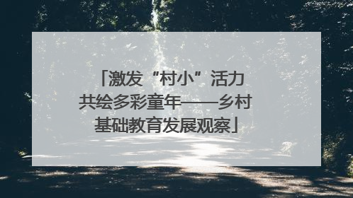 激发“村小”活力 共绘多彩童年——乡村基础教育发展观察